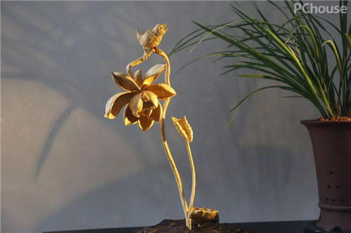 廣州看展靈感 精選軟裝與景觀工程，家居設(shè)計(jì)瞬間提升高級(jí)感